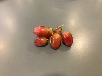 grapes-2