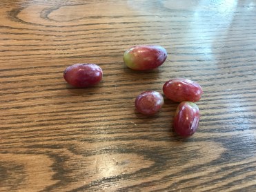 grapes-4