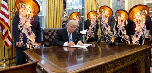 president-trump-signs